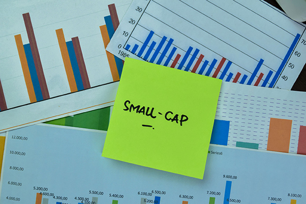 Small Cap Funds